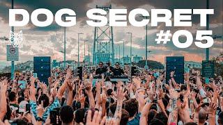 Dubdogz - DOG SECRET - #05 (Ponte Hercílio Luz | Floripa - SC)