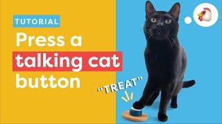 Teach Your Cat To Press A Talking Button