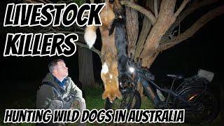 Pair of Wild Dogs Shot & Bonus Foxes || Riding the Spika E-Bike at Night || 6BR Rifle