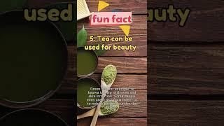 Fun Fact about tea #funfacts #tea #eslpodcast #imbrian #benefitsoftea