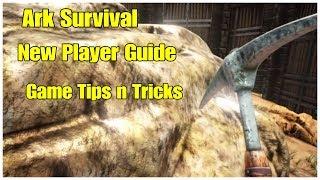 Things Beginners Should Know in Ark Survival Tips