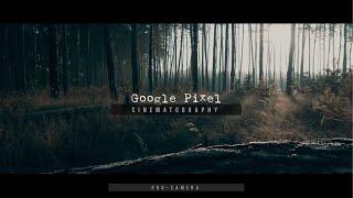 Google Pixel 6a Cinematic 4k | Filmic Pro Camera