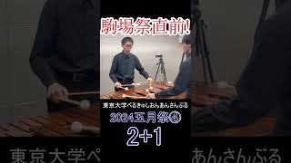 2人と楽器1つで作り上げる音楽【2+1】#duo #marimba #percussion #Shorts