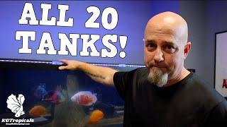 I Shouldn't Show These 20 Aquariums, All My Fish Tanks Revealed.