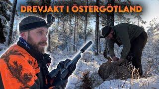 DREVJAKT I ÖSTERGÖTLAND | Kronhjort skjutet