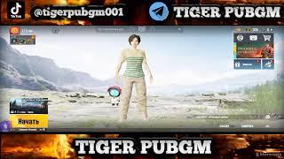 Rang kotaramiz TIGER PUBGM :PUBG MOBILE