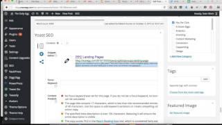 Yoast Wordpress Plugin Snippet Editor