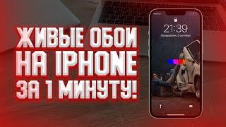 Как установить живые обои на iPhone? Любое видео на обои Айфона!