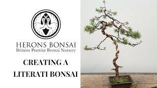 Literati Bonsai (in brief)