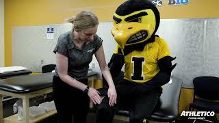 Athletico Helps Herky the Hawk Put Knee Pain in the Past