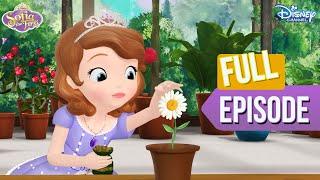 Sofia's Florist Adventures  | Sofia The First | S EP 16 | @disneyindia