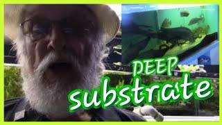 A #DeepSubstrate in Your Aquarium is the Key to Success