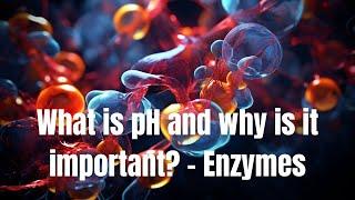 ‍ What is pH and why is it important? - Enzymes - Biology ‍