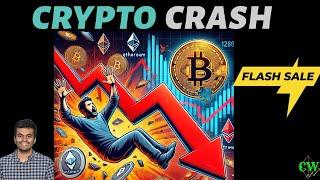 Bitcoin Crash: How Low Will BTC Plummet? [Are Altcoins Next?]