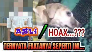 Video Anak SMP B3rubah Jadi 4njing‼️Di Lombok