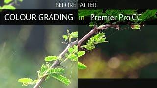 Cinematic Look Colour Grading In Premier Pro CC