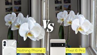 Nothing Phone 1 versus Pixel 6 Pro camera comparison: not even close