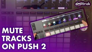 Ableton Push: Mute Tracks | Push Play! | A Tr!ck A Day with dolltr!ck