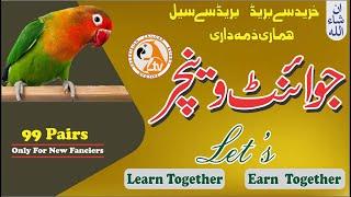 ان شاء اللہ خرید سے بریڈ اور بریڈ سے سیل ہماری ذمہ داری |Be ZAILDAR's Aviary Lovebirds Joint Venture