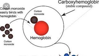 carboxyhemoglobin, carboxyhemoglobin in blood, carboxyhemoglobin test, co oximetry, co oximetry abg