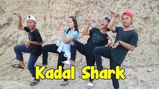 KADAL SHARK :v