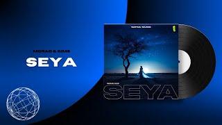 MORAD & GIMS - SEYA - OFFICIAL ACAPELLA ( NO MUSIC / ONLY VOCALS )