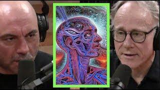 Joe Rogan | Ayahuasca is Amazonian Science w/Graham Hancock