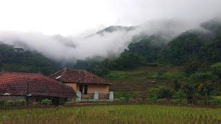 ADEM AYEM ‼️ PETUALANGAN ALAM DESAKU TERBARU HARI INI KE KAMPUNG YANG CANTIK || PEDESAAN JAWA BARAT