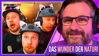 Putzi spricht die Wahrheit - StreamClips 259 - Gronkh Reaction