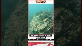 Mysterious dark oxygen found on ocean floor | Gravitas | WION Shorts