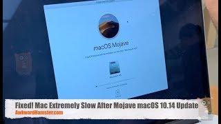 My Experience with Mac Extremely Slow After Mojave macOS 10.14 Update