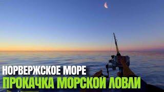 ПРОКАЧКА МОРСКОЙ ЛОВЛИ | Первые трофеи на МОРЕ |Русская Рыбалка 4 [PC 2018]