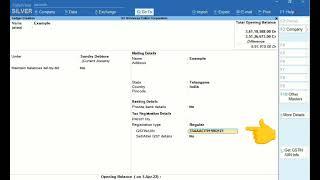 Get GSTIN/UIN information in Tally Prime.
