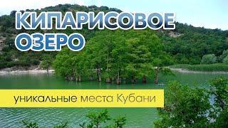 Кипарисовое озеро. Сукко