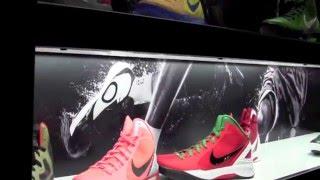 House of Hoops Sacramento Virtual Tour