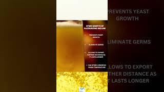 Pasteurization Methods for Beers #WorldBeerDay2023