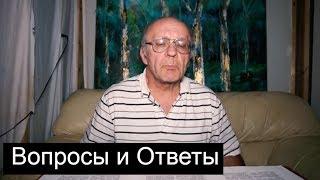 № 2 Вопросы и ответы по пчеловодству. Пасека. Пчеловодство для начинающих