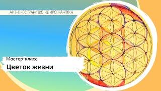 Открытый мастер- класс  "Цветок Жизни"