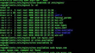 Install Nginx, php-fpm on Ubuntu 10.04