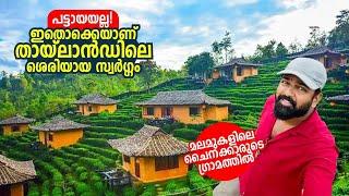 ഇതുപോലൊരു ഗ്രാമം നിങ്ങൾ കണ്ടിട്ടുണ്ടാവില്ല! Ban Rak ThaiChinese mountain village in Thailand