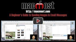 A Beginner's Guide to Sending Images In Email Messages (#1533)