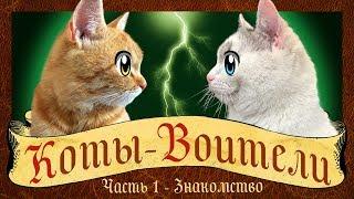 CATS-WARRIORS: GO WILD! The story of a cat GINGER! cat Kid and cat Murka WARRIOR CATS animation