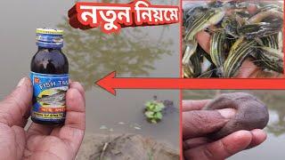 Fish Tangra Bait | নদীতে টেংরা ও জিওল মাছ ধরার সেরা মেডিসিন