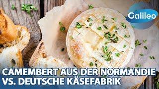 Camembert-Liebhaber aufgepasst! Eine Reise durch die Geschichte und Herstellung des beliebten Käses