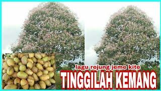 REJUNG JEME KITE NIAN (tinggilah kemang) DENALI