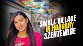 ইউরোপেরর ছোট্ট গ্রামে আমাদের ঈদ উদযাপন | Szentendre, Hungary  | Sunjida Mukta