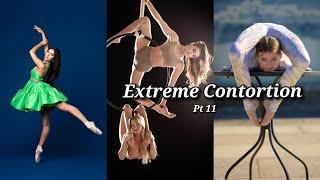 Extreme flexibility/Gymnastics ft Anna McNulty, Immy Taylor, Brittany Hertz, Sofie Dossi & more.