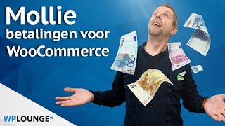 Mollie betaalmethoden instellen voor je WooCommerce webshop