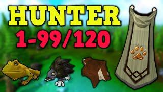 1-99/120 Hunter Guide Updated 2022- AFK & Fastest Methods - Runescape 3