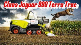 Mais Häckseln 2024 Claas Jaguar 990 Terra Trac